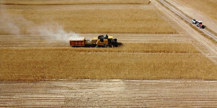 Trakya’da çiftçi bu yıl da buğdayını kuru toprağa ekecek