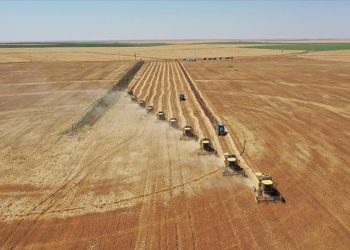 Akıllı tarım uygulamaları yapay zeka ve dijitalleşmeyle yaygınlaşacak