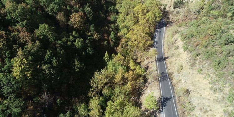 Ganos'un eteklerini süsleyen ağaçlar güz renklerine bürünmeye başladı