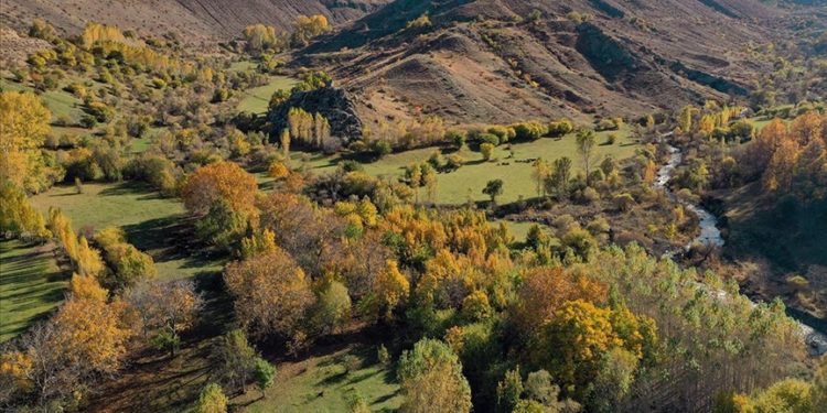 Iğdır'daki Üçkaya Vadisi'nde sonbahar renkleri hakim oldu