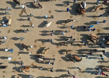 Kayseri’ye yıllık 20 milyar lira katkı sağlayacak canlı hayvan borsası ve pazar yeri açılacak