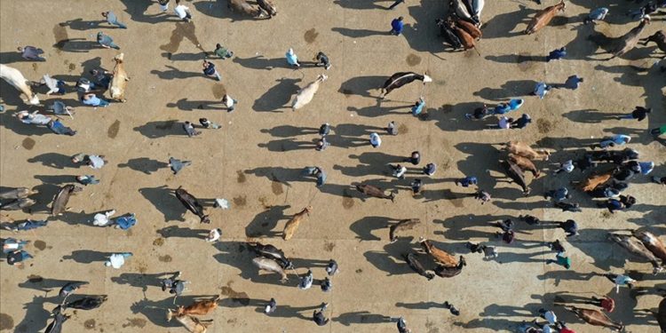 Kayseri’ye yıllık 20 milyar lira katkı sağlayacak canlı hayvan borsası ve pazar yeri açılacak