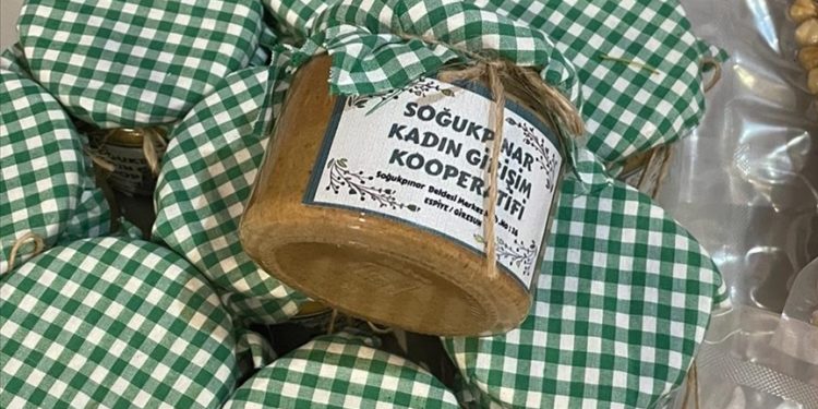 Giresun’da kadınlar devlet desteğiyle kurdukları tesisle kendi işlerinin patronu oldu