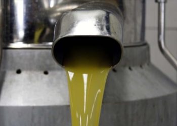 Zeytinyağı ve pirina yağının analiz metotlarında düzenlemeye gidildi