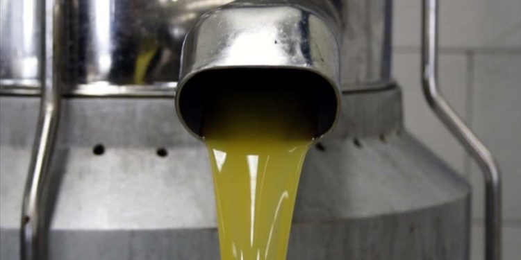 Zeytinyağı ve pirina yağının analiz metotlarında düzenlemeye gidildi