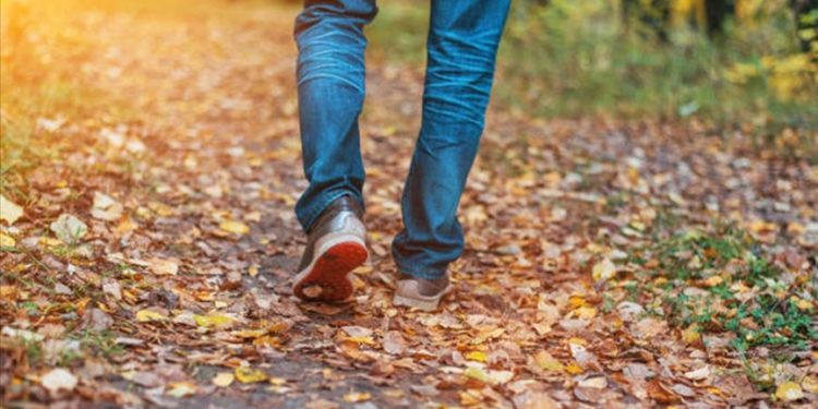 Son yüzyılda insanoğlunun hareket etme oranının yüzde 28’e düştüğü belirtildi