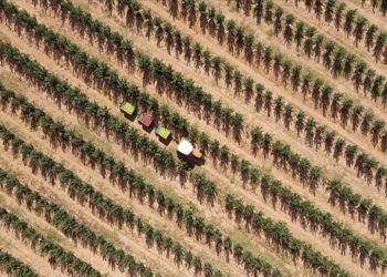 Kayseri’de 36 bin nüfuslu ilçeden 18 ülkeye elma ihracatı