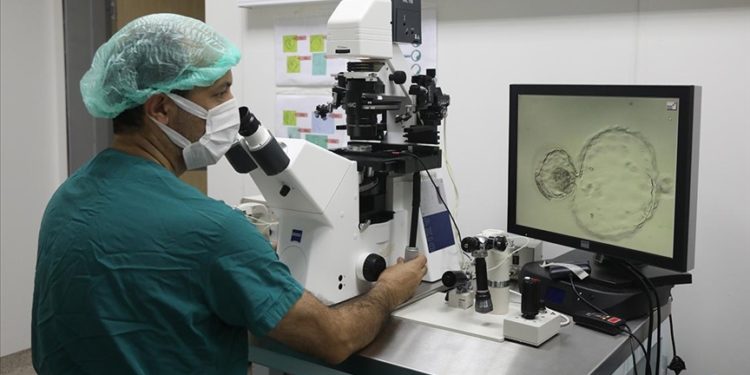 Ondokuz Mayıs Üniversitesi Tüp Bebek Merkezinde 13 yılda yaklaşık 15 bin bebek doğdu