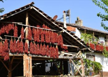Bilecikli kadın girişimciler Çukurören’in coğrafi işaretli acı biberinden reçel üretti