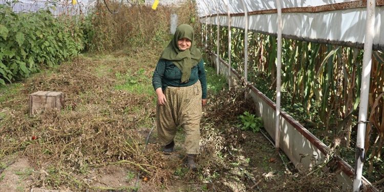 İlerleyen yaşına rağmen topraktan kopamıyor