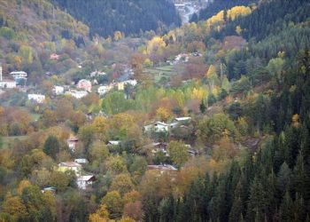 Şavşat'ta sonbahar renkleri hakim oldu