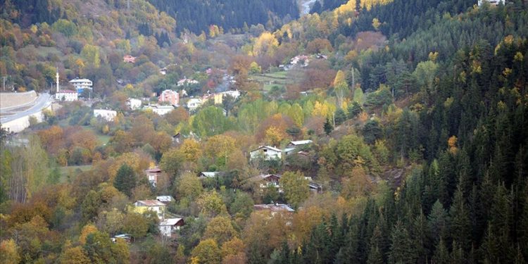 Şavşat'ta sonbahar renkleri hakim oldu