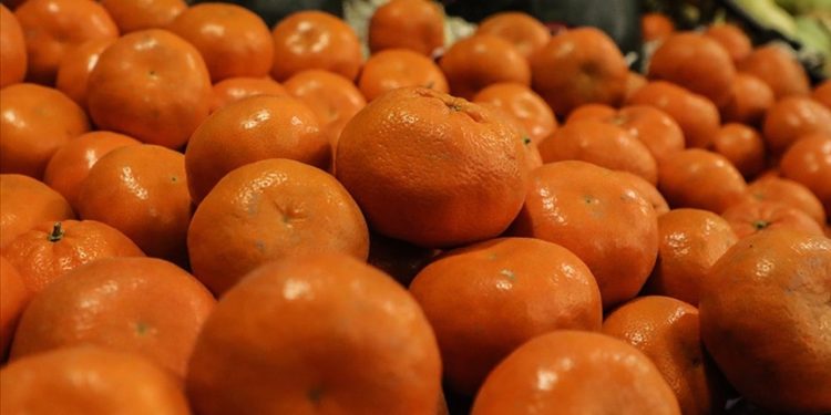 Meyve ve sebzelerin “sirke ya da karbonatla yıkanması” önerisi