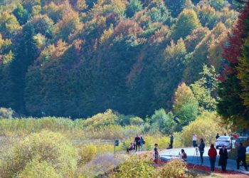 Abant'ta sonbahar renkleri hakim oldu