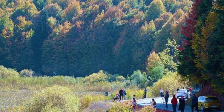 Abant'ta sonbahar renkleri hakim oldu