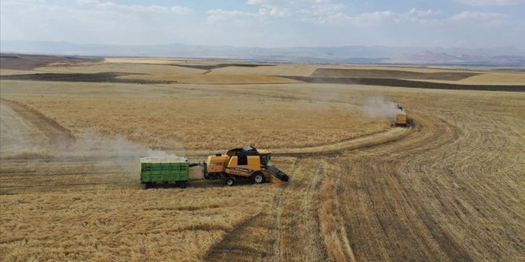 Ziraat mühendisleri “iklim değişikline dayalı tarım takvimi” talep etti