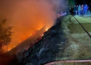 Muğla'da orman yangını başladı