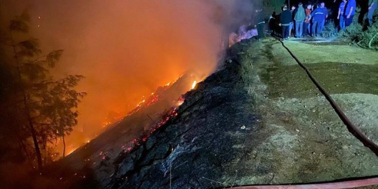 Muğla'da orman yangını başladı