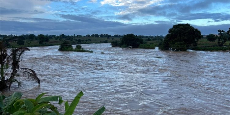 Nijerya, Kamerun'un Lagdo Barajı'nın kapaklarını açması nedeniyle "sel alarmı" verdi