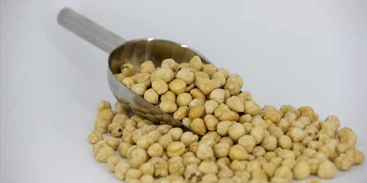 Trabzon’un 9 aylık fındık ihracatında AB ülkeleri başı çekti