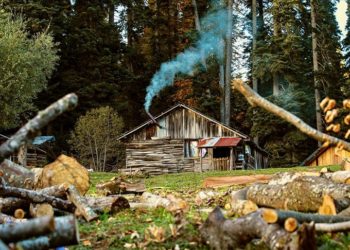 Düzce'de tabiat parklarında sonbahar güzelliği yaşanıyor