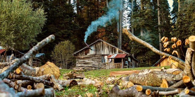 Düzce'de tabiat parklarında sonbahar güzelliği yaşanıyor