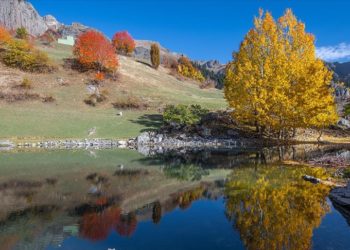 "Sakin şehir" ünvanlı Şavşat, sonbahar renkleriyle doğal fotoğraf stüdyosuna dönüştü