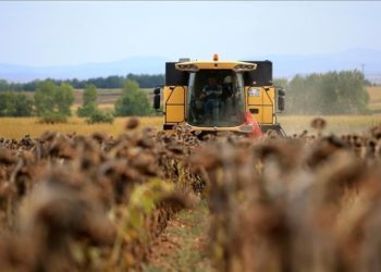 Bakan Yumaklı, 630,7 milyon lira tarımsal destekleme ödemesinin bugün yapılacağını açıkladı