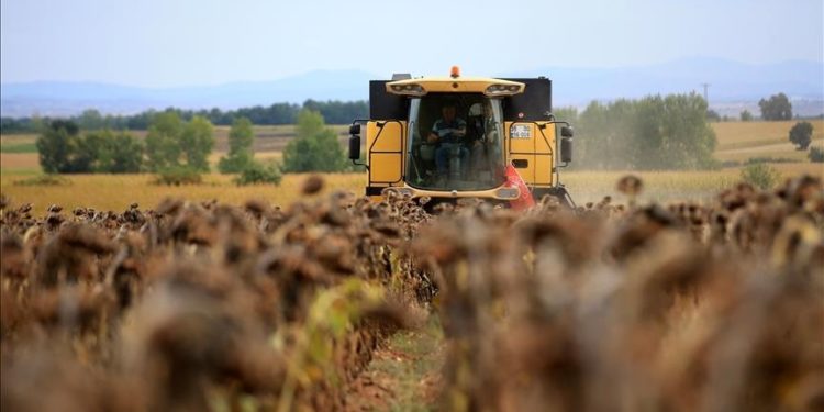 Bakan Yumaklı, 630,7 milyon lira tarımsal destekleme ödemesinin bugün yapılacağını açıkladı