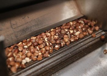 KOSGEB desteğiyle işlediği fındığı kendi markasıyla pazarlıyor