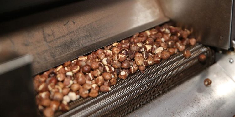 KOSGEB desteğiyle işlediği fındığı kendi markasıyla pazarlıyor