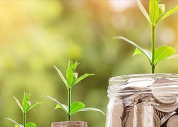 Türkiye’deki bankaların “iklim karnesi” açıklandı