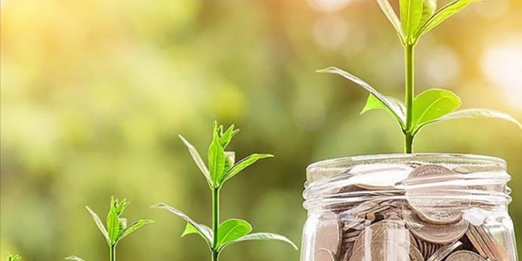 Türkiye’deki bankaların “iklim karnesi” açıklandı