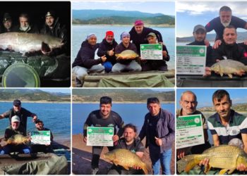 En büyük sazanı tutmak için kıyasıya yarıştılar