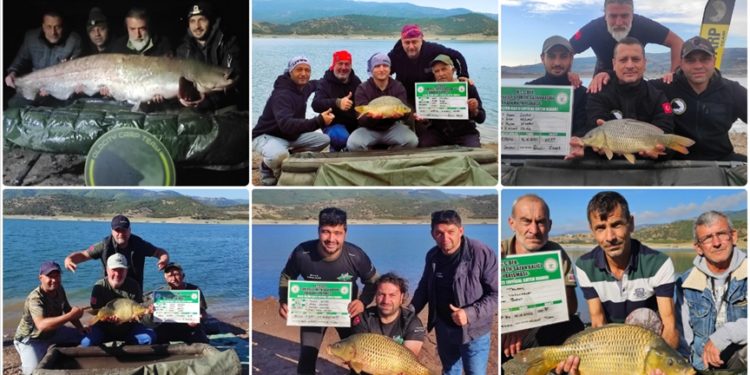 En büyük sazanı tutmak için kıyasıya yarıştılar