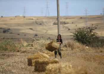 Genç yaşta hem çiftçi hem de sosyal medyada tanınan isim oldu
