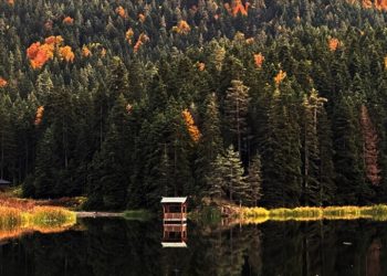 Sinop'un turizm merkezlerinden Akgöl, ziyaretçilerine sonbaharın güzelliğini yaşatıyor