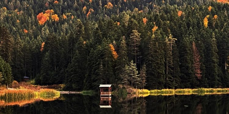 Sinop'un turizm merkezlerinden Akgöl, ziyaretçilerine sonbaharın güzelliğini yaşatıyor