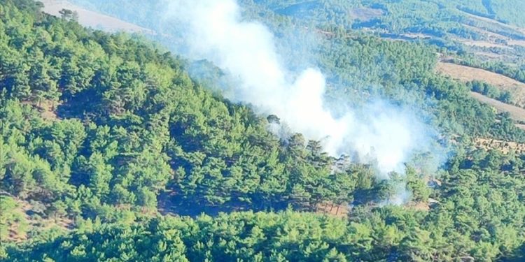 Çanakkale'de orman yangını çıktı