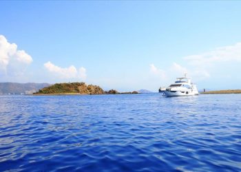 Çocuklar Akdeniz foklarının önemini farkındalık projesiyle öğrenecek