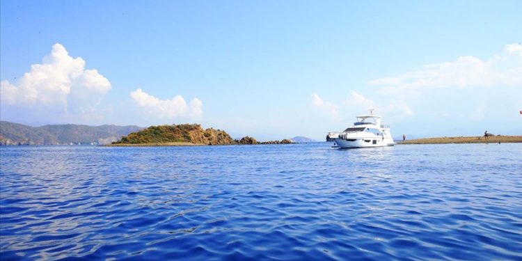 Çocuklar Akdeniz foklarının önemini farkındalık projesiyle öğrenecek