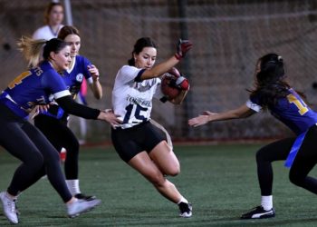 Tek federasyonda “olimpik” dört branş