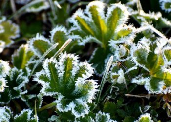 Kars'ta soğuk hava etkili oldu