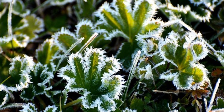 Kars'ta soğuk hava etkili oldu