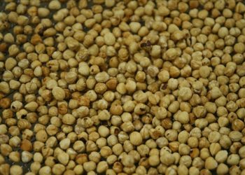 Türkiye'nin 10 aylık fındık ihracatının yüzde 31'i Trabzon'dan