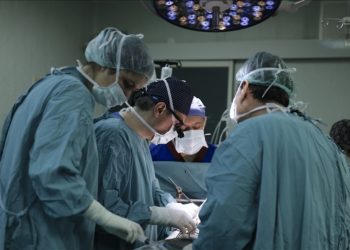 Türkiye’de 2002’den bu yana 74 bin 704 organ nakli gerçekleştirildi