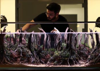 Su altının güzelliğini “canlı resimlerle” akvaryuma taşıyor