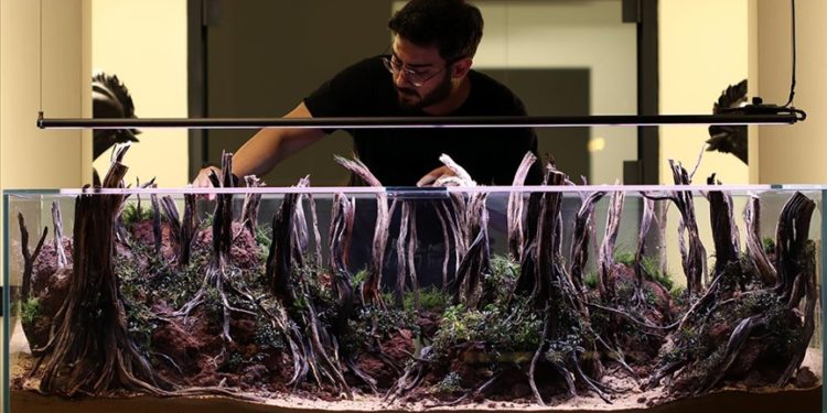 Su altının güzelliğini “canlı resimlerle” akvaryuma taşıyor