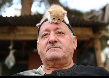 Kedi sevgisi müteahhitlerin tekliflerine “dur” dedirtti