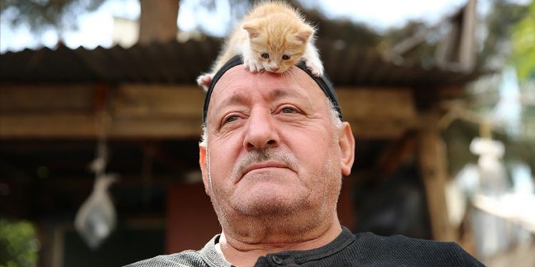 Kedi sevgisi müteahhitlerin tekliflerine “dur” dedirtti